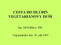 Cesta do hlubin vegetarinovy due