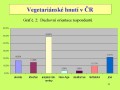 Cesta do hlubin vegetarinovy due